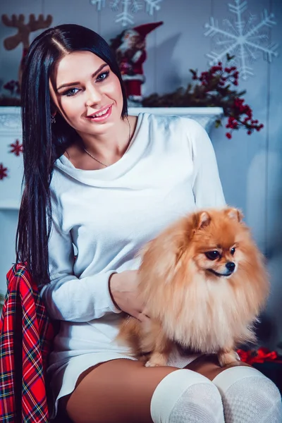 Mädchen mit Hund auf dem Hintergrund der Neujahrsdekoration. — Stockfoto