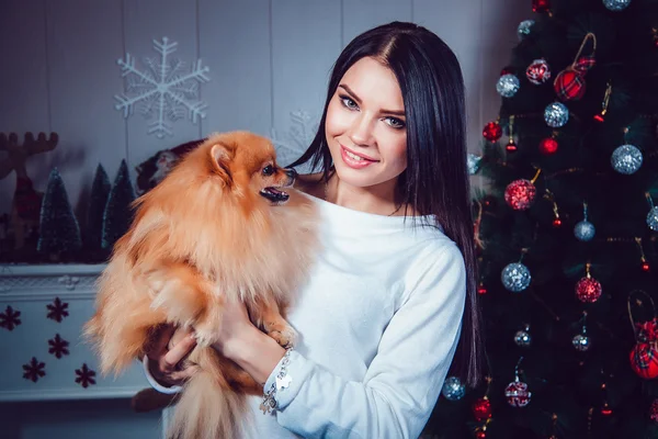 Menina com um cão no fundo da decoração de Ano Novo . — Fotografia de Stock