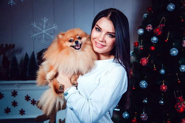 Девушка с собакой на фоне новогоднего украшения . — стоковое фото