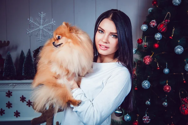 Tjej med en hund på bakgrunden av nya år dekoration. — Stockfoto
