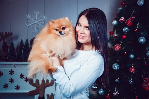 Mädchen mit Hund auf dem Hintergrund der Silvesterdekoration. — Stockfoto