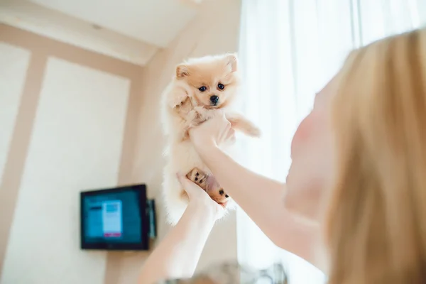 Hermosa mujer rubia con su perro en un hermoso interior —  Fotos de Stock