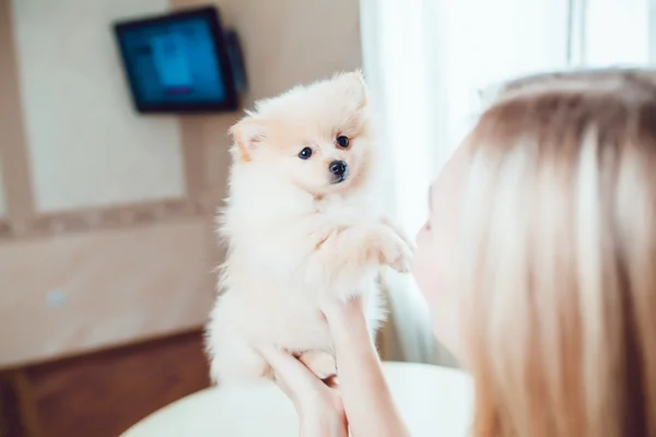 Hermosa mujer rubia con su perro en un hermoso interior —  Fotos de Stock