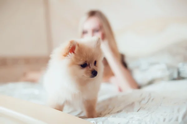 Belle femme blonde avec son chien dans un bel intérieur — Photo