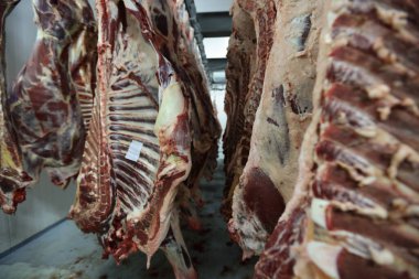 Et işleme ortamı, soğuk tesis büyük ölçekli et işleme ve güvenlik prosedürleri gösteriyor