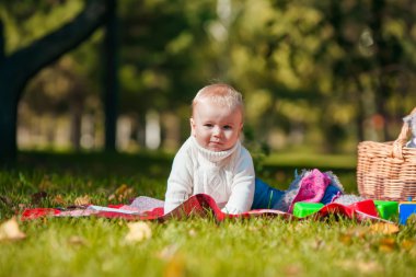 Çocuk sonbahar ormandaki oyuncaklarla çalış
