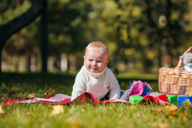 Çocuk sonbahar ormandaki oyuncaklarla çalış