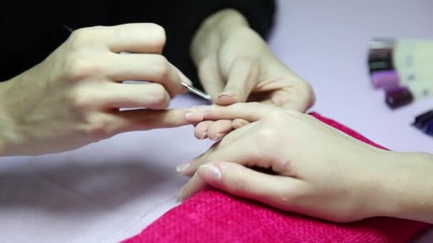 Manicura. Salón de belleza. Primer plano . — Vídeos de Stock