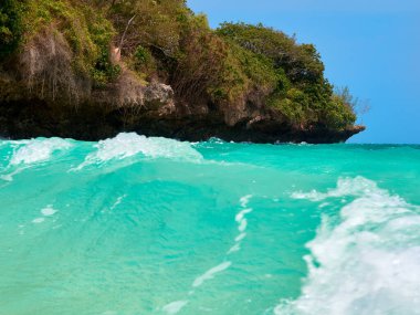 Turkuaz okyanus dalgası ve kayalıklardaki mangrov ağaçlarının manzarası. Zanzibar, Tanzanya.