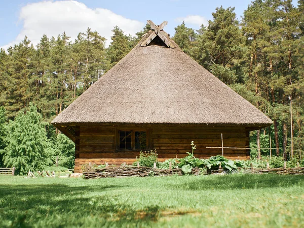 Low angle view to the old wooden house with roof covered with thatch on a green pine background with blue sky. — Stock Photo, Image