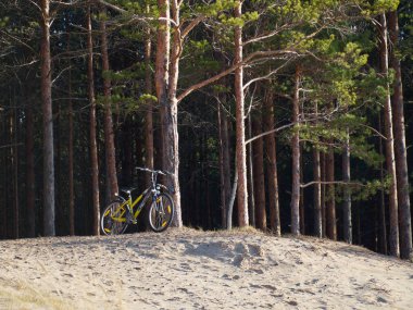 Bisiklet, sahil şeridi boyunca Pines Ormanı 'nın yakınına park edilmiş. Açık hava macerası.