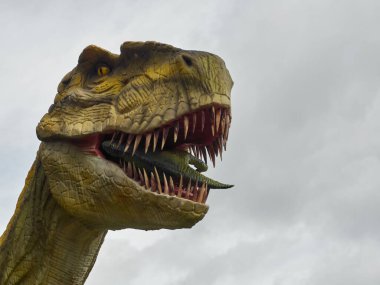 Dino parkında gri gökyüzüne karşı küçük bir dinazor yiyen T-Rex dinozorunun kafasını yakından izleyin..