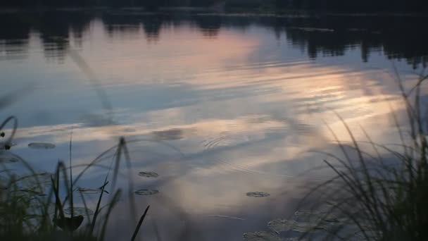 Fredelig utsikt mot elven med bølgende vann og skyrefleksjoner over den. Solnedgangstid. – stockvideo