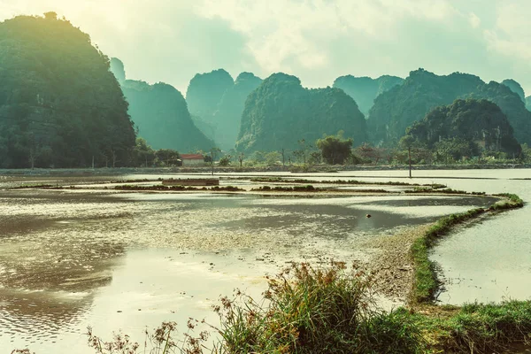 Güzel karst manzarası, nehir ve çeltik tarlalarının manzarası Tam Coc, Ninh Binh Eyaleti, Vietnam 'da görüldü. Turistler nehir boyunca küçük bir tekneyle seyahat ediyorlar..