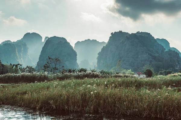 Güzel karst manzarası, nehir ve çeltik tarlalarının manzarası Tam Coc, Ninh Binh Eyaleti, Vietnam 'da görüldü. Turistler nehir boyunca küçük bir tekneyle seyahat ediyorlar..