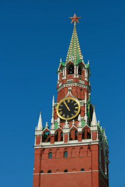 Rusya Moskova Kremlin.