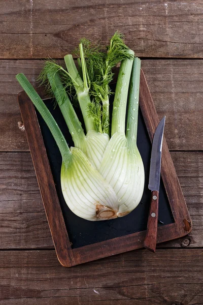 Single fennel bulb over dark wooden background — Stock Photo, Image