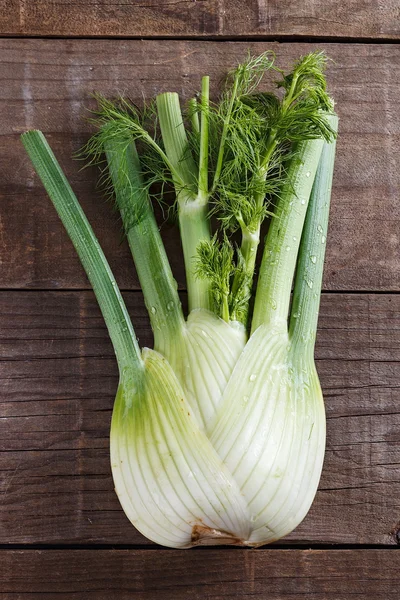 stock image Fennel bulb on rustic wooden background