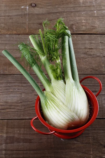 Fennel bulb on rustic wooden background — Stock Photo, Image