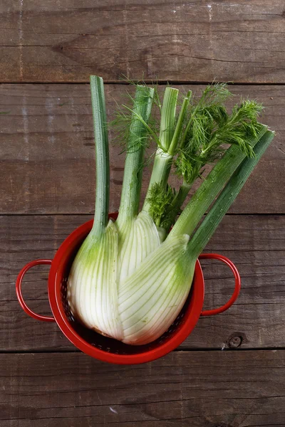 Fennel bulb on rustic wooden background — Stock Photo, Image