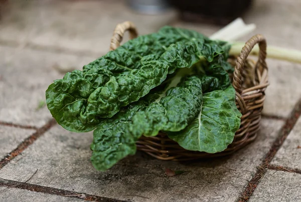 Silverbeet orgânico em uma cesta — Fotografia de Stock