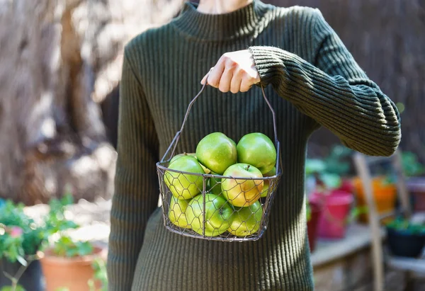 Kvinna i varma kläder håller korg med äpplen — Stockfoto