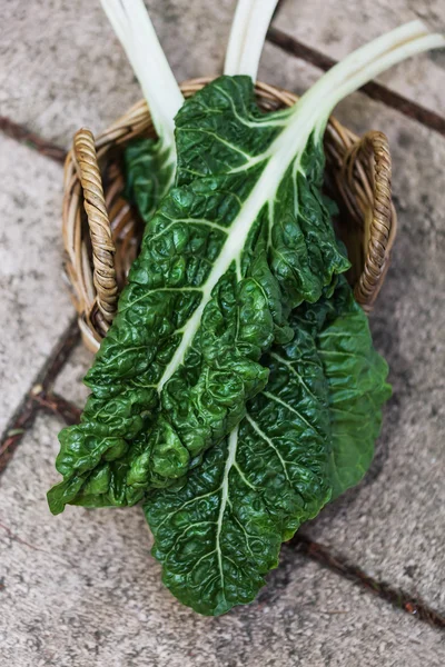 Silverbeet orgânico em uma cesta — Fotografia de Stock