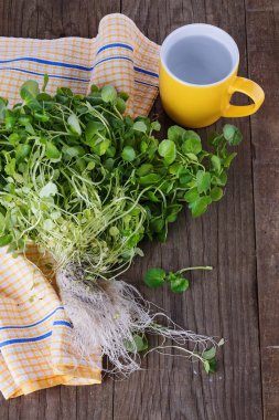 Bunch of watercress on a rustic wooden background clipart