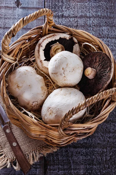 Top view of mushrooms in a woven basket — Stock Photo, Image