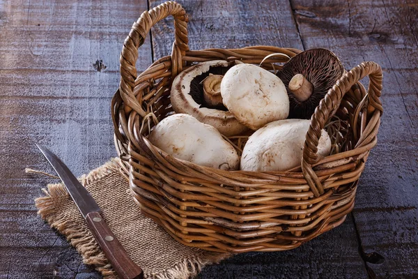 Mushrooms over rustic wooden background — Stock Photo, Image