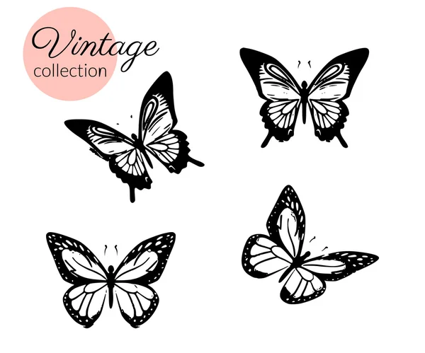 Sada čtyř černé a bílé motýli silueta s otevřenými křídly — Stockový vektor