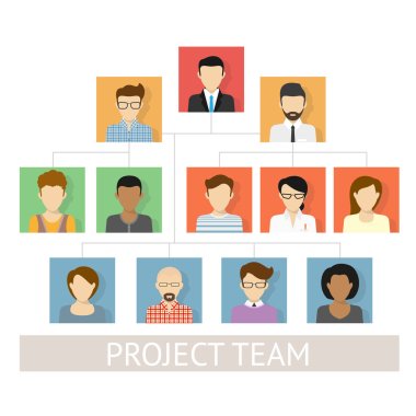 Project team organization