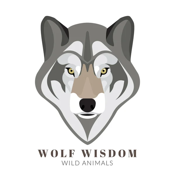 Cute grey wolf — Stok Vektör
