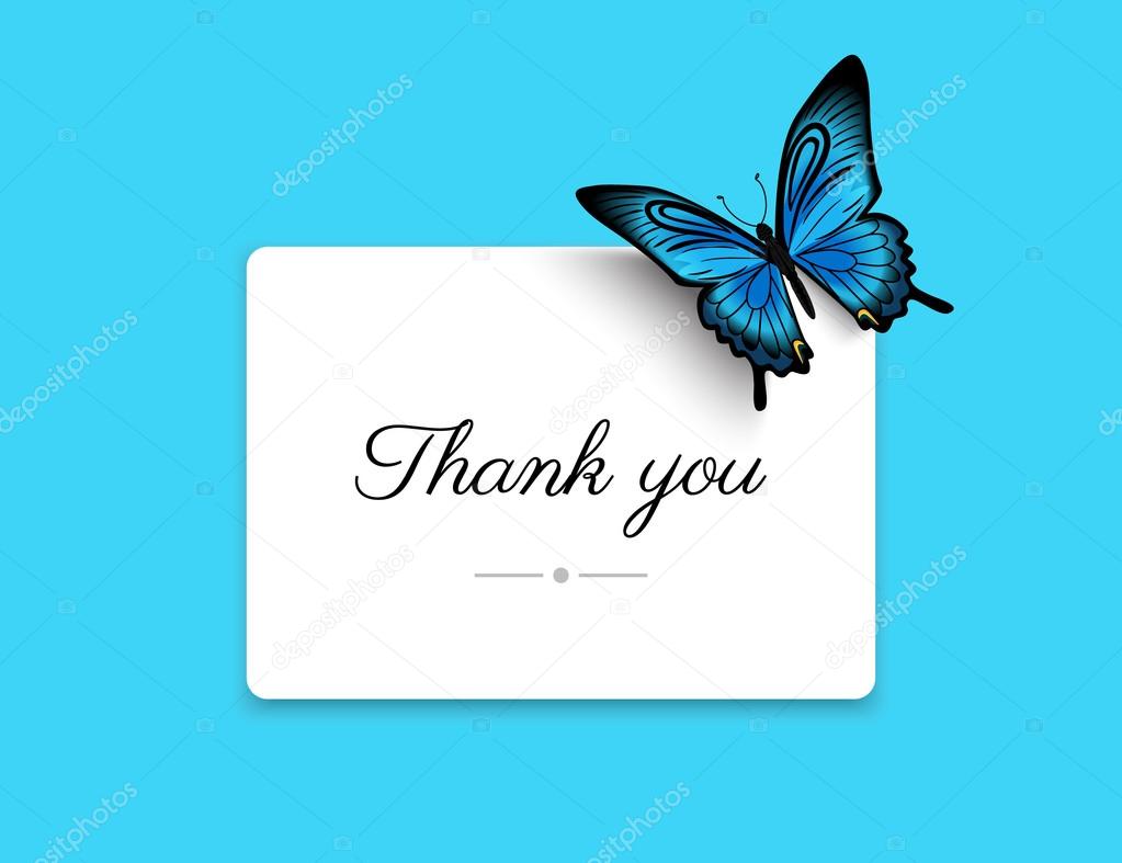 Thank you blank card Stock Vector by ©Julia_Tim 77708900