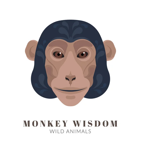 Monkey moudrost — Stockový vektor