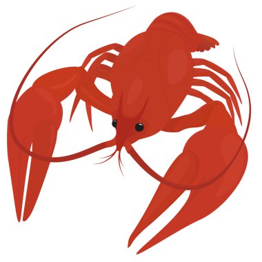 boiled red crayfish, crawfish clipart