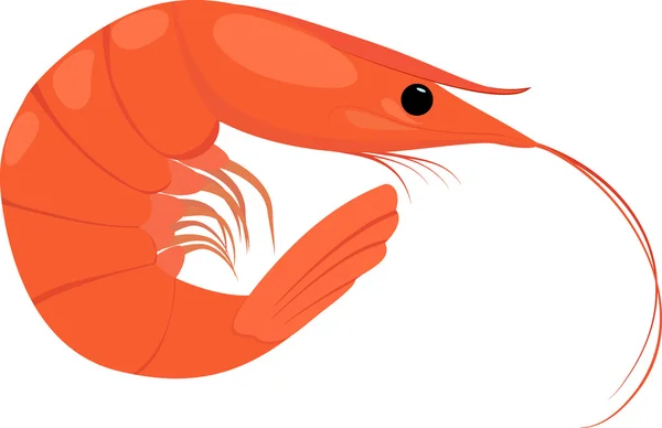 beyaz zemin üzerine pişmiş karides