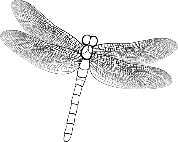 Desenho ilustrativo de uma libélula isolada sobre branco —  Vetores de Stock