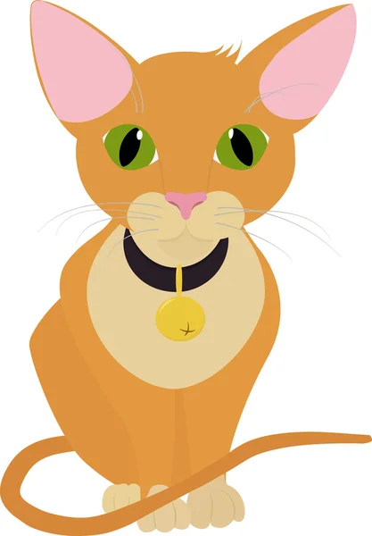 Funny orange cat with big green eyes isolated on white — Stock Vector