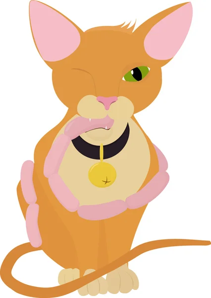 Chat aux saucisses, chaton de dessin animé orange isolé — Image vectorielle