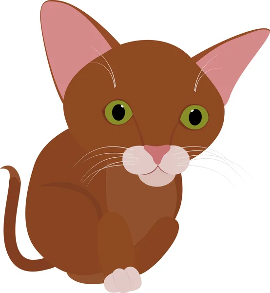 Funny brown cat with big green eyes isolated on white — Stock Vector