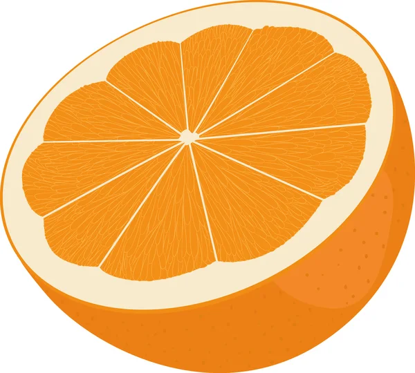 Corte naranja por la mitad. Cítricos aislados sobre fondo blanco — Vector de stock