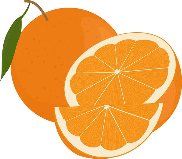 Oranges fraîches fruits à feuilles vertes, entières et demi-isolées sur blanc — Image vectorielle