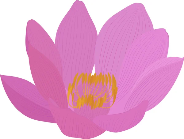 Vector lotus pink flower icon — Stock Vector