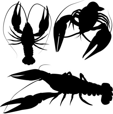 crawfish, crayfish silhouettes isolated on white clipart