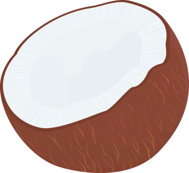 Beyaz izole tropikal meyve Hindistan cevizi yarısı vektör