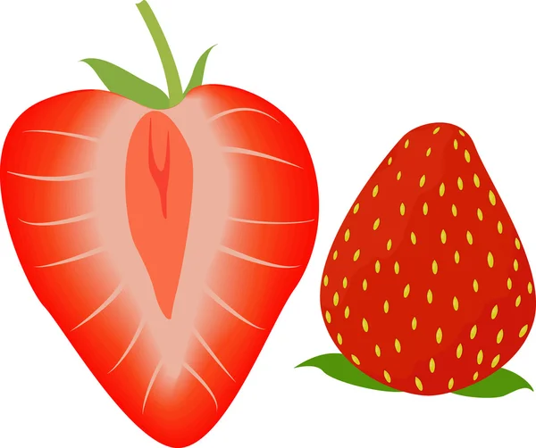 Strawberry hela och halva. Vektor illustration — Stock vektor