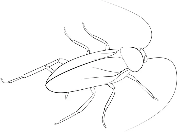 Kakkerlak schets zwarte monohrome kleur geïsoleerd op witte achtergrond — Stockvector