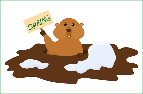 Groundhog Day Vector Cartoon Achtergrond Met Schattige Marmot Holding Teken — Stockvector
