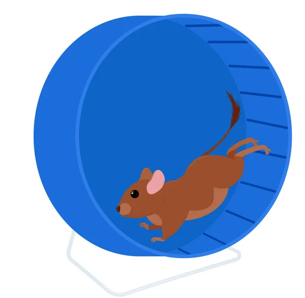 Degu Corriendo Whell Aislado Blanco Dibujos Animados Mascota Degus Cepillo — Vector de stock